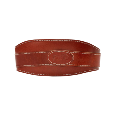 Schiek Leather Lifting Belt 皮革腰帶 (Model L2004)